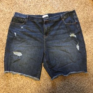 *Sold* Lane Bryant distressed Bermuda shorts